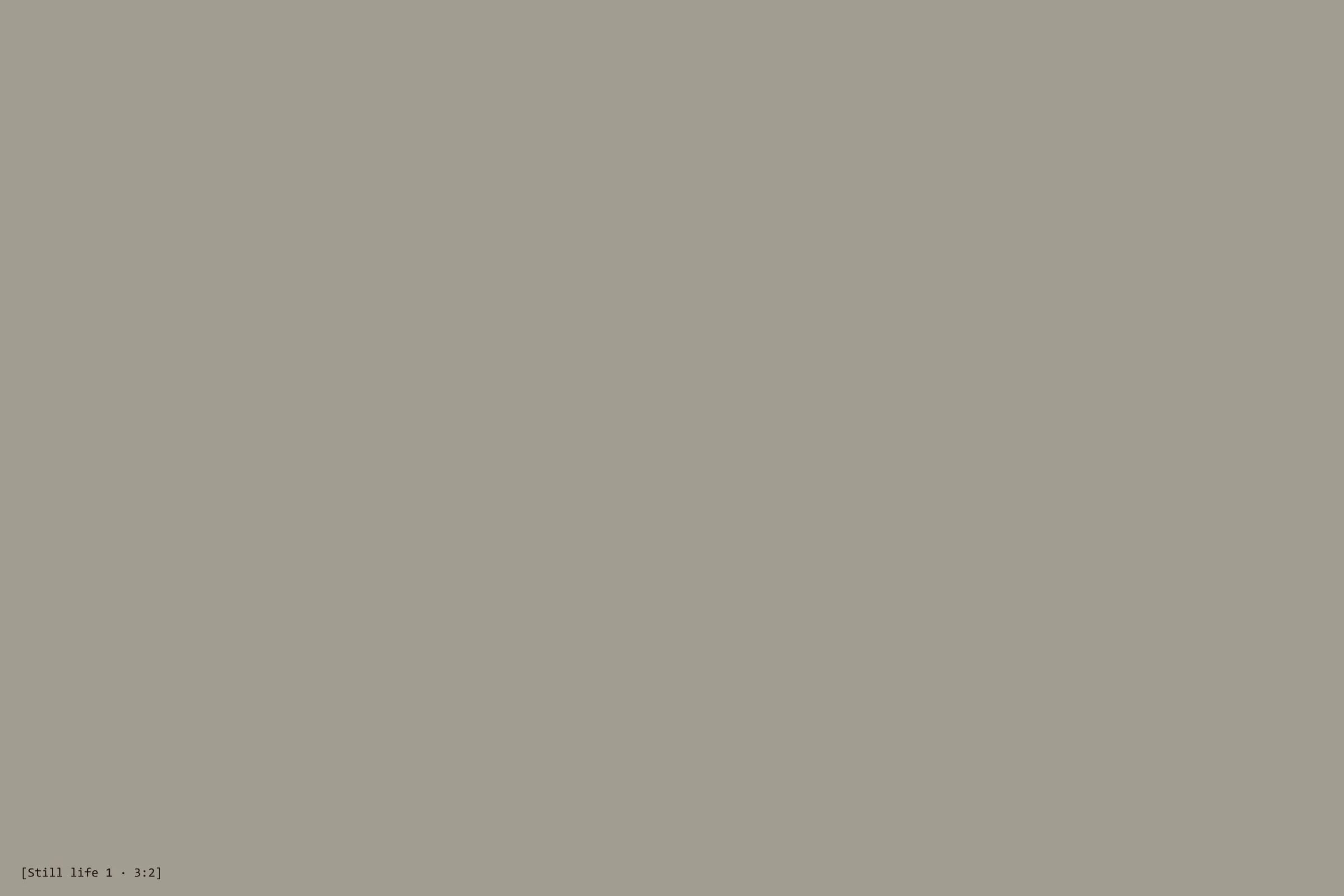 [Describe the photo: still life placeholder 1]
