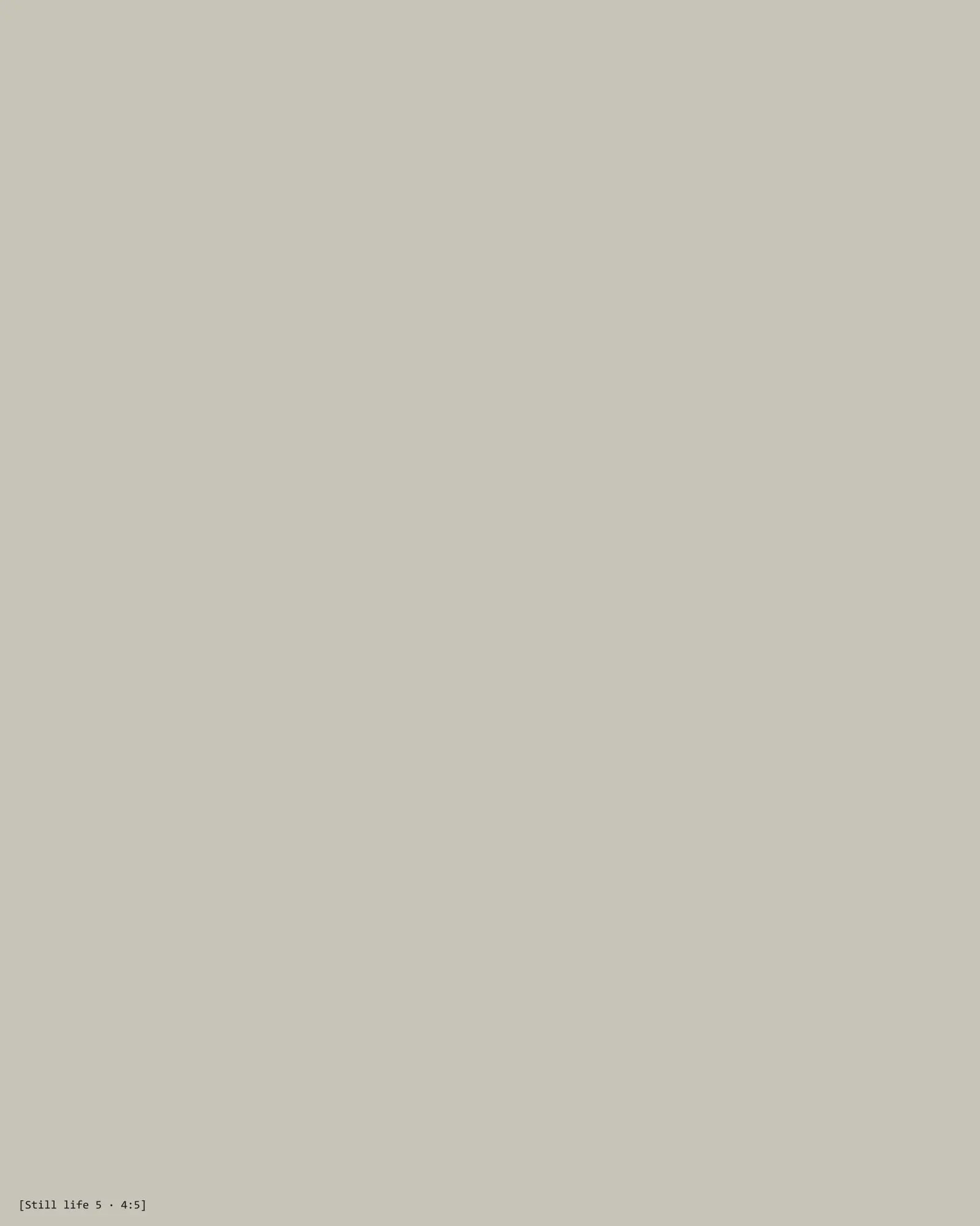 [Describe the photo: still life placeholder 5]