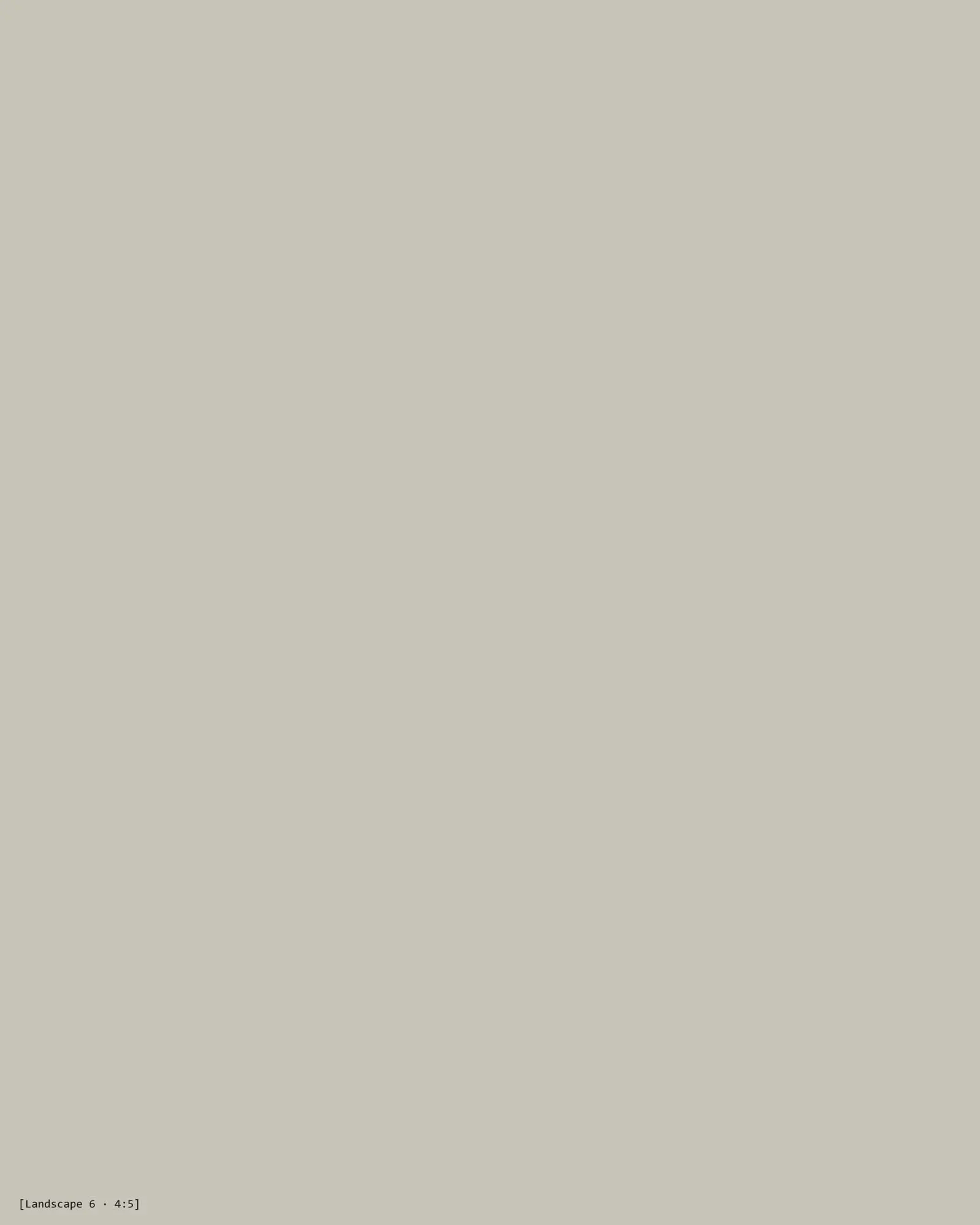 [Describe the photo: landscape placeholder 6]